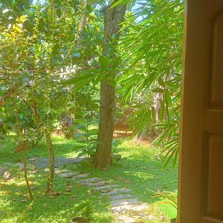 Mother'S Inn Homestay Kochi エクステリア 写真
